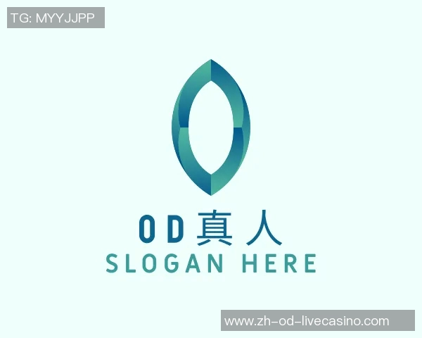 中国足球网深度解析国内外足球动态助力球迷全面了解赛事信息