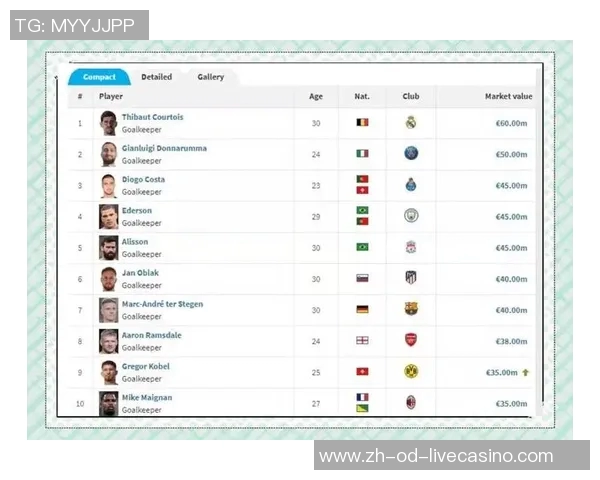 全球顶级足球守门员最新排名分析与评选结果揭晓